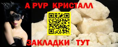 индика Гатчина