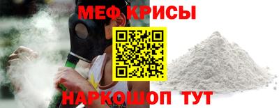 индика Гатчина