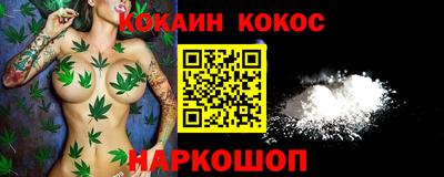 индика Гатчина