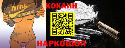 индика Гатчина