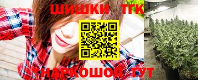 индика Гатчина