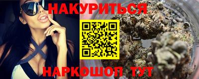 индика Гатчина