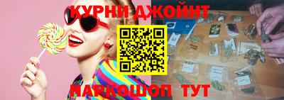 индика Гатчина