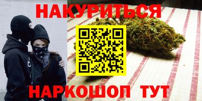 индика Гатчина