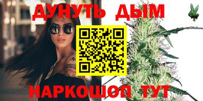 индика Гатчина