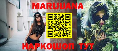 индика Гатчина