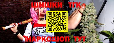 индика Гатчина