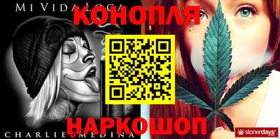 хмурый Гай