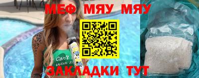индика Гатчина